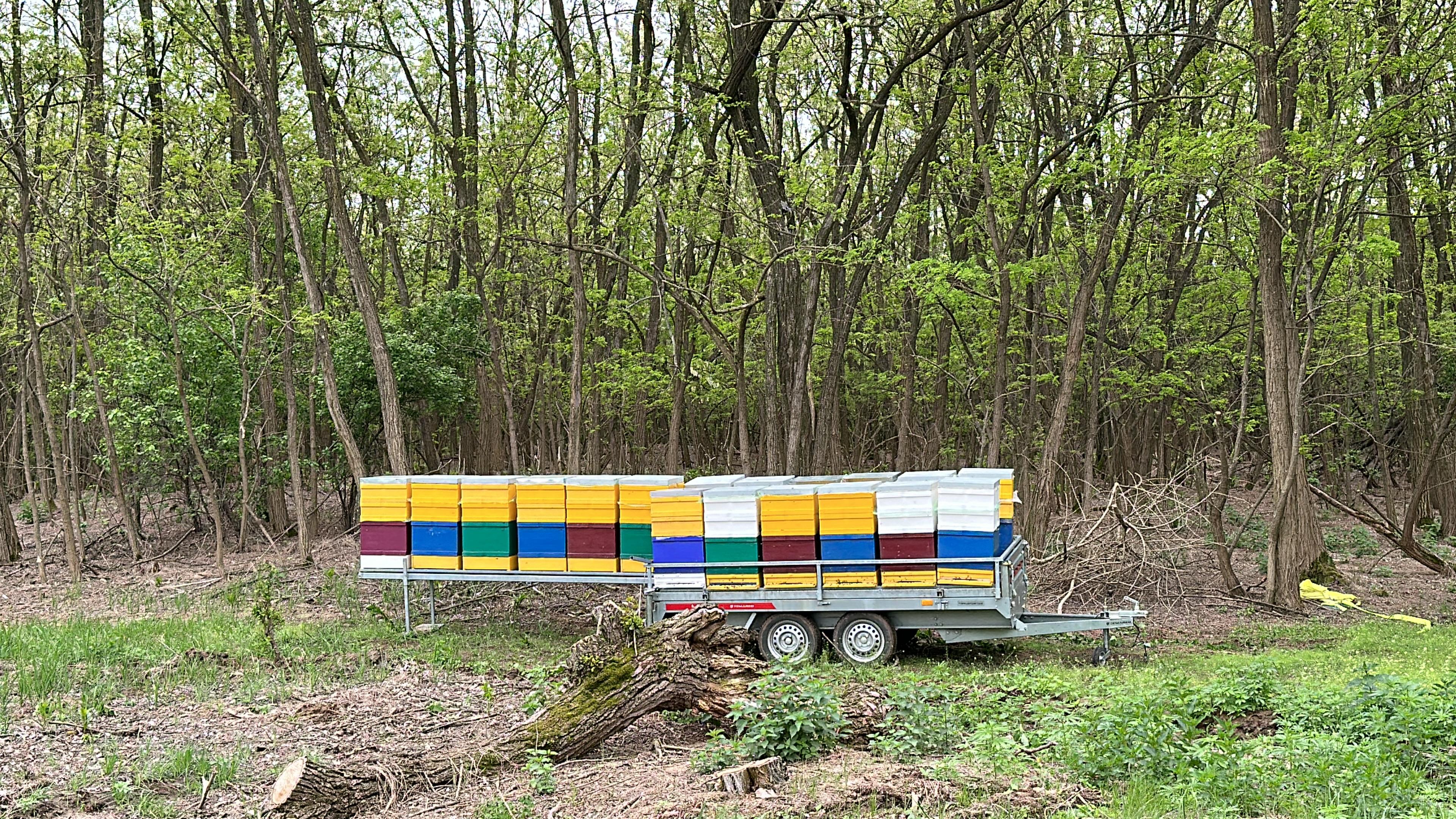 Miere pentru evenimente